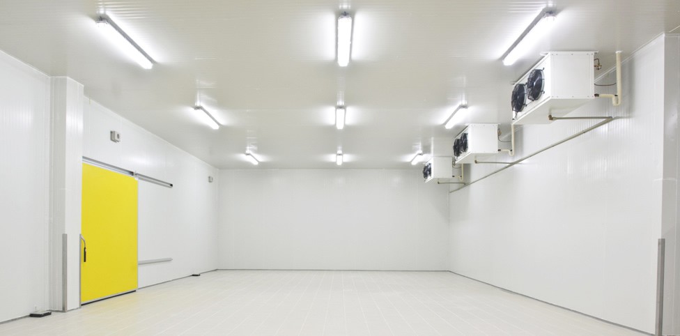 câmara frigorífica3.jpg